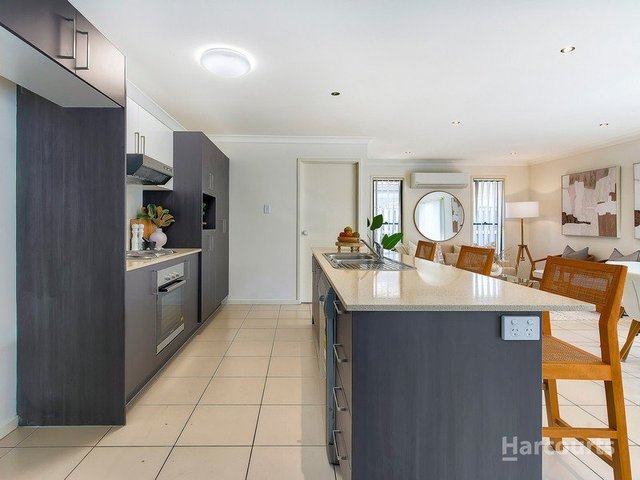 1 Sackville Close, QLD 4018