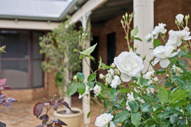 4 Pindara Place, WA 6076