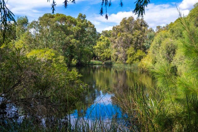 38 Rosebery Street, WA 6014