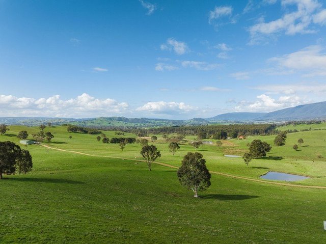 101 Yellow Creek Road, VIC 3714