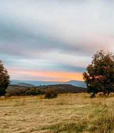 The Great Australian Land Auction - The Great Australian Land Auction, NSW 2620
