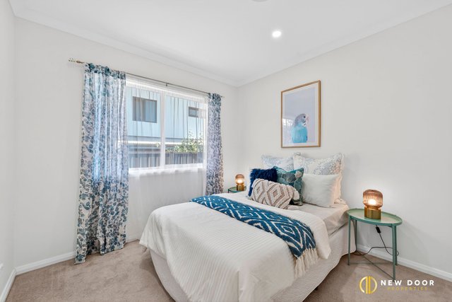 38 Tycho Street, ACT 2914