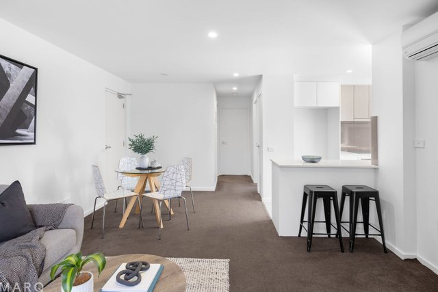 21/4 Sapling Street, ACT 2914