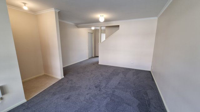 24/3 Everard Street, ACT 2913