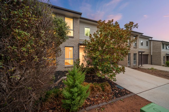 71 Sapling Street, ACT 2914
