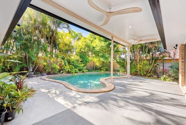 5 Sugarleaf Court, QLD 4220