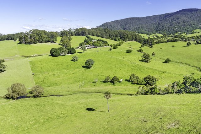182 Punkalla Tilba Road, NSW 2546