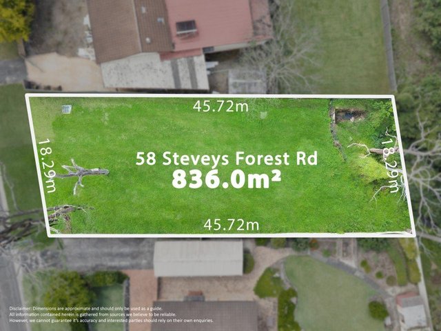 58 Steveys Forest Road, NSW 2570