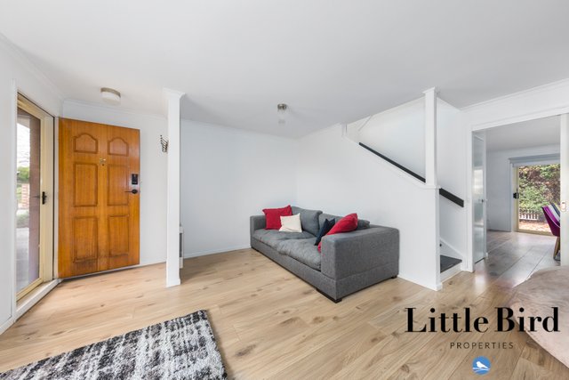 31/3 Everard Street, ACT 2913