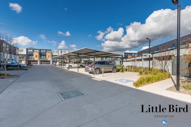63/12 Hawksbill Street, ACT 2914