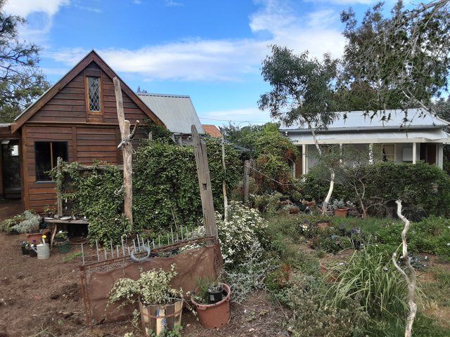 50 Antill Street, ACT 2602
