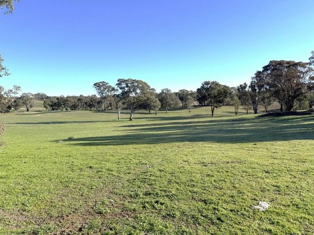 146 Bibaringa Road, NSW 2587