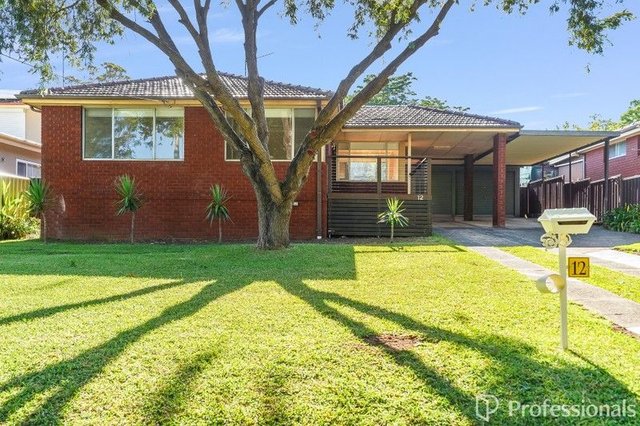 12 Pindari Avenue, NSW 2570