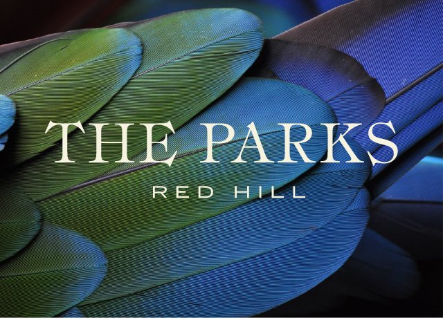 The Parks - The Parks, ACT 2603