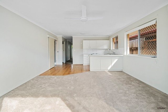 58 Nobby Parade, QLD 4220