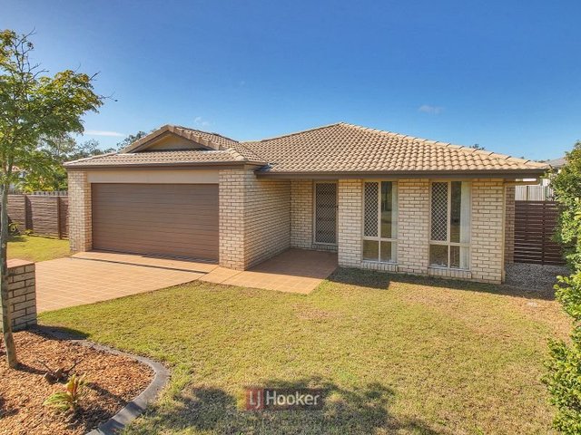 50 Kakadu Street, QLD 4115