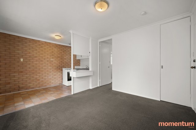 1/4 Burkitt Street, ACT 2614