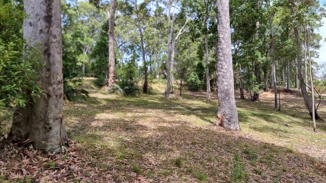 216 Princes Highway, NSW 2546