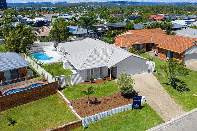 4 Silkyoak Court, QLD 4220
