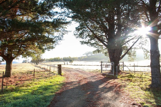 2321 Rugby Road, NSW 2583