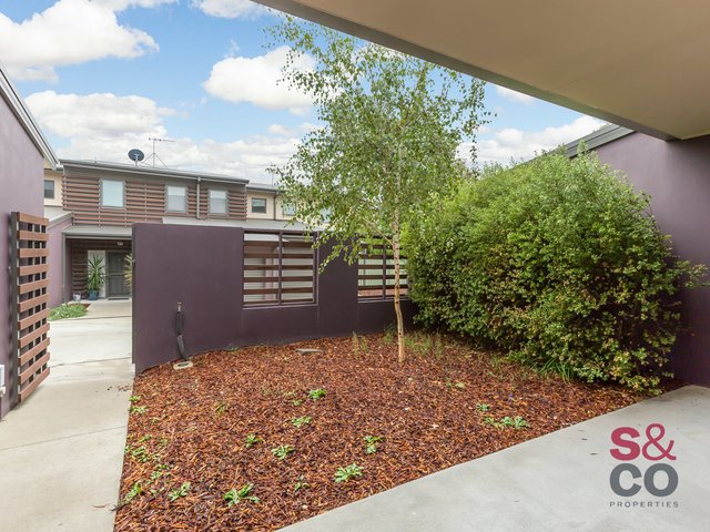 6/15 Braine Street, ACT 2614