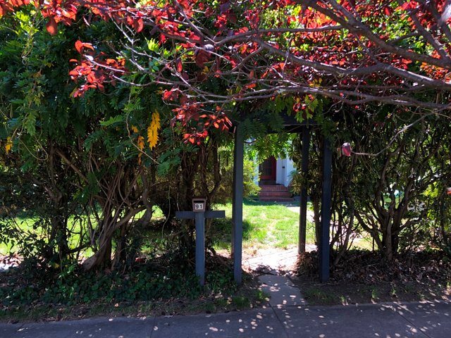 91 Wakefield Gardens, ACT 2602