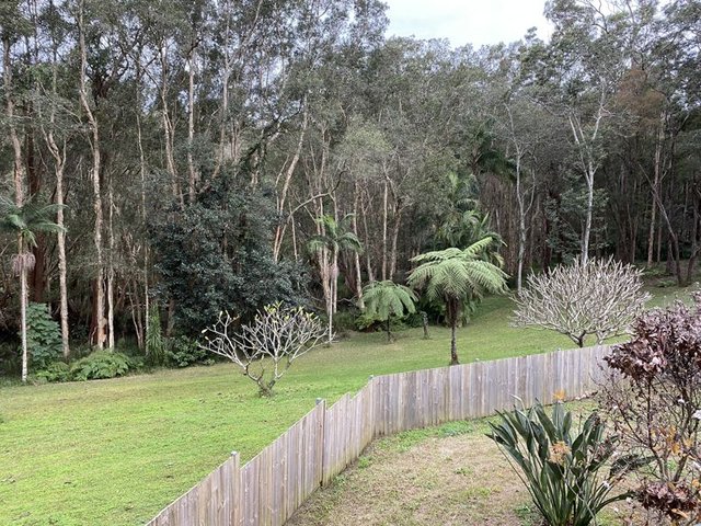 229A Short Cut Road, NSW 2454
