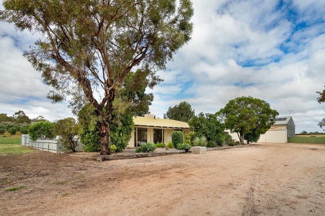 407 Lyrup Main Road, SA 5343