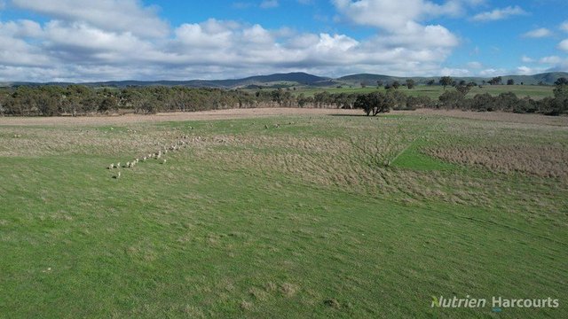 266 Lexton-Ararat Road, VIC 3352