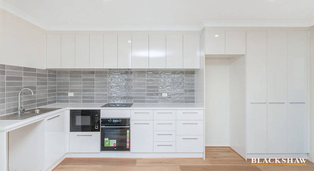 61B Pademelon Street, ACT 2914