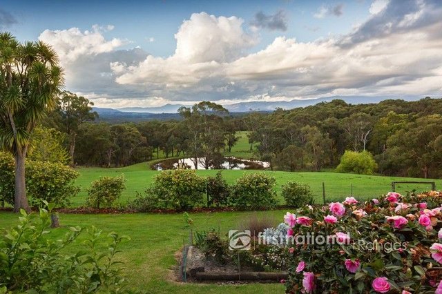 251 Tschampions Road, VIC 3782