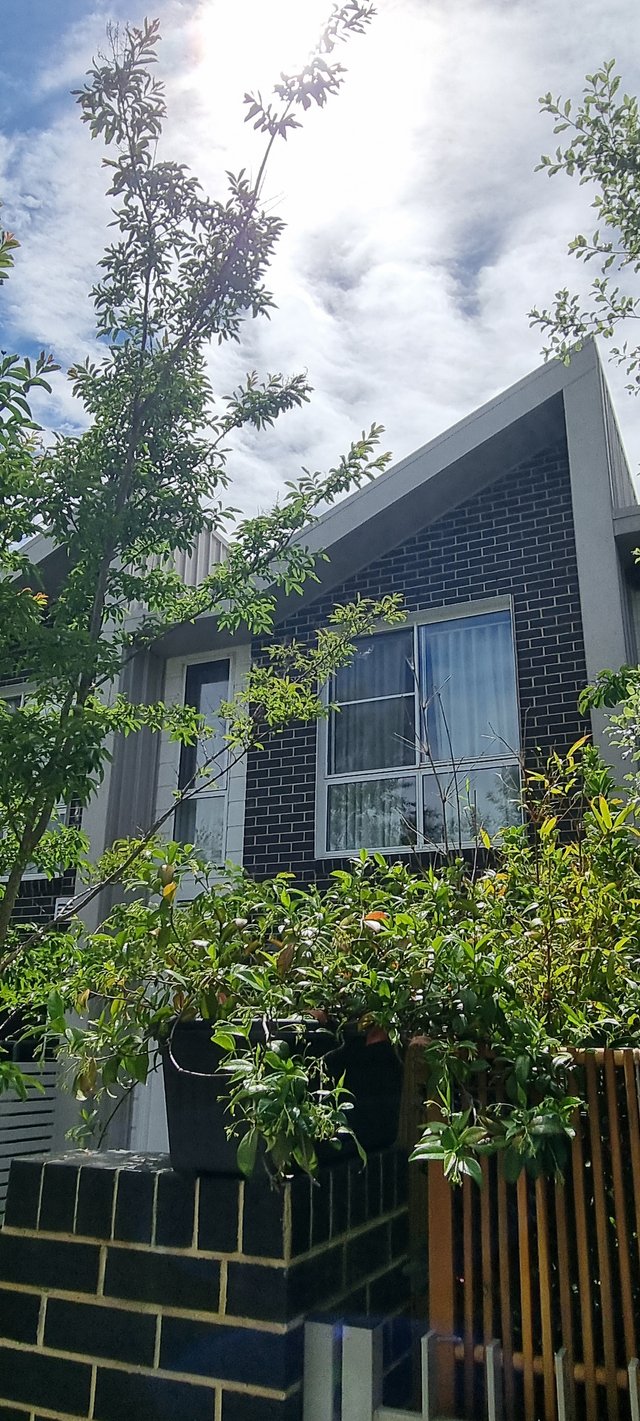 28/45 Frencham Street, ACT 2602