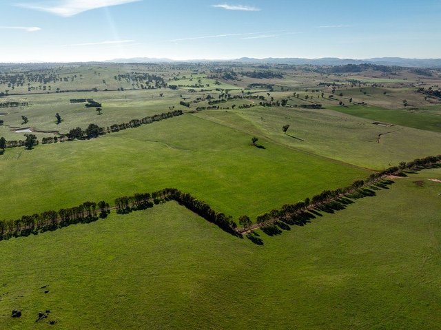 478 Illawong Road, NSW 2726