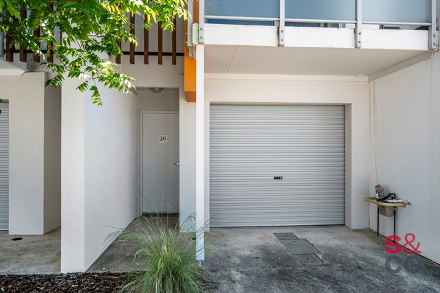 3/6 Sapling Street, ACT 2914